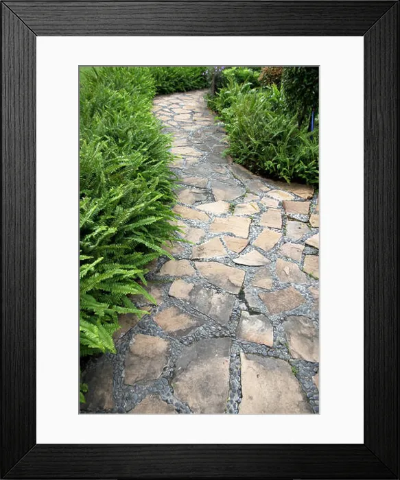 Framed Print : Walkway Stone in the backyard Framed Print : Walkway Stone in the backyard