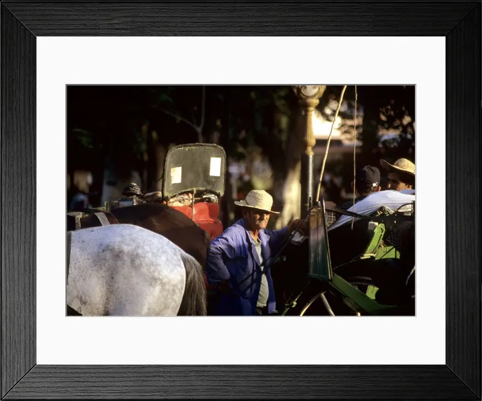 Framed Print : Horse carriage driver waiting for custom, Jemaa El Fna (La Place), medina in Marrakesh, Morocco, North Africa Framed Print : Horse carriage driver waiting for custom, Jemaa El Fna (La Place), medina in Marrakesh, Morocco, North Africa