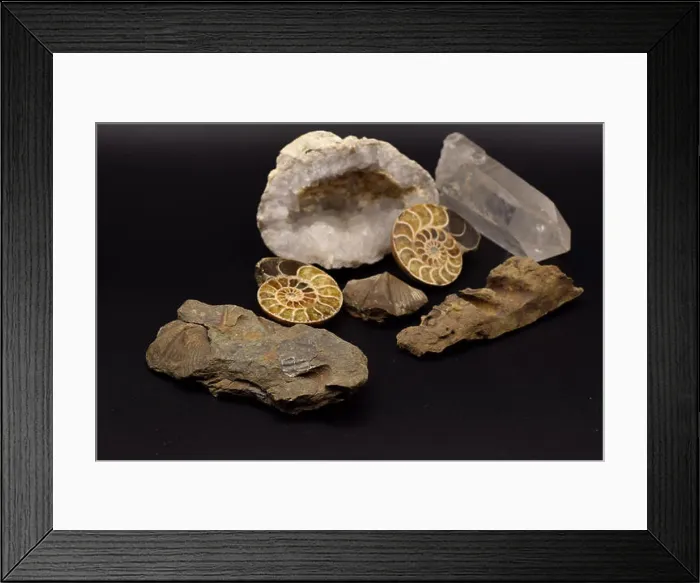 Framed Print : Fossils and gemstones including a geode, brachiopods, and crinoids arranged on a seamless black background Framed Print : Fossils and gemstones including a geode, brachiopods, and crinoids arranged on a seamless black background