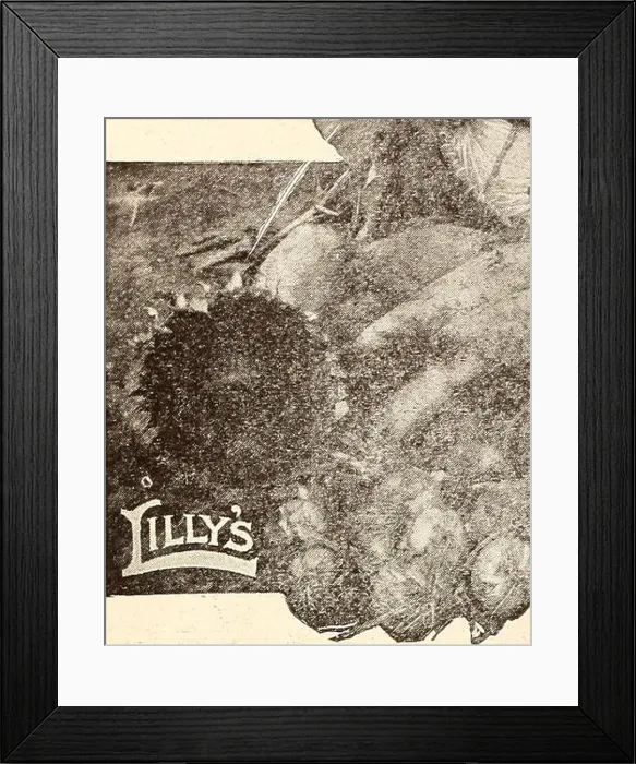 Framed Print : Lilly's complete annual : bee supplies spray materiels poultry supplies fertilizers seeds Framed Print : Lilly's complete annual : bee supplies spray materiels poultry supplies fertilizers seeds