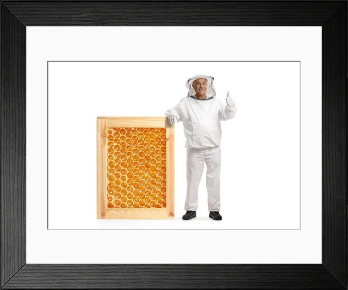 Framed Print : Mature male bee keeper in a uniform leaning on a big honeycomb frame Framed Print : Mature male bee keeper in a uniform leaning on a big honeycomb frame