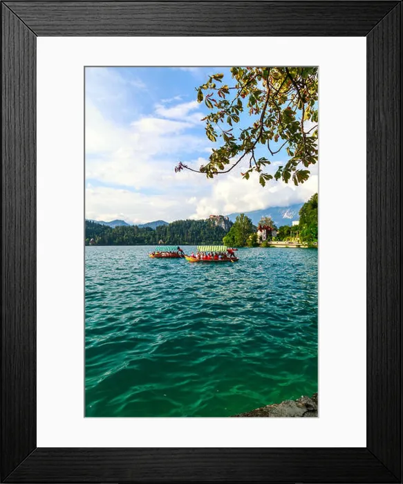 Framed Print : Traditional Pletna boats and tourists in the Lake Bled located in Slovenia -Bled, Slovenia - 27 July, 2014 Framed Print : Traditional Pletna boats and tourists in the Lake Bled located in Slovenia -Bled, Slovenia - 27 July, 2014