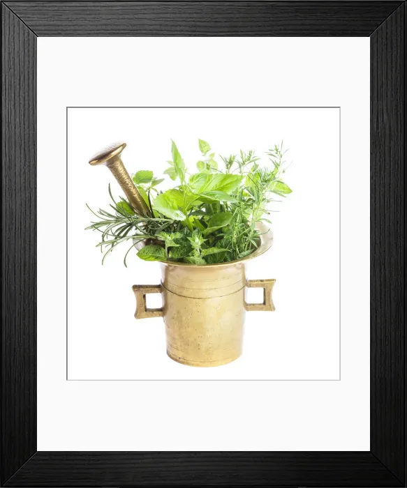 Framed Print : Fresh herbs in the copper mortar on the table Framed Print : Fresh herbs in the copper mortar on the table