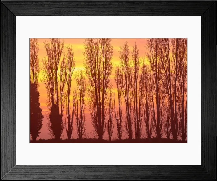 Framed Print : Misty dawn scene in the Kent countryside Framed Print : Misty dawn scene in the Kent countryside
