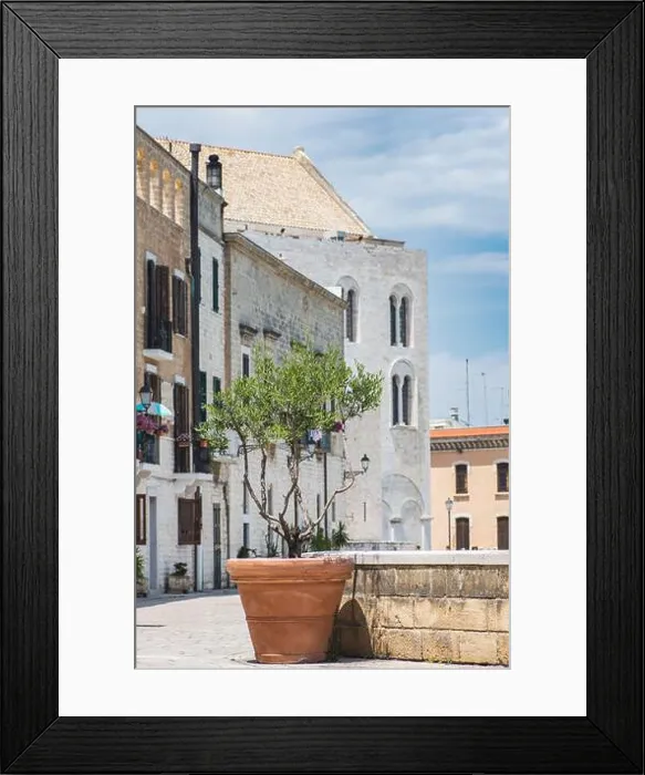 Framed Print : Ancient walls with Pontifical Basilica or Church of Saint Nicholas and olive tree in a vase in Bari old town Framed Print : Ancient walls with Pontifical Basilica or Church of Saint Nicholas and olive tree in a vase in Bari old town
