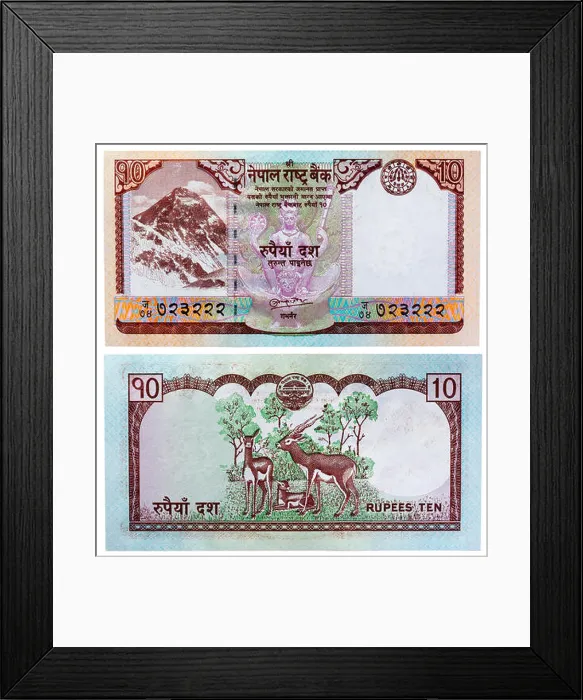 Framed Print : 10 rupees banknote, Mount Everest and antelopes, Nepal, 2008 Framed Print : 10 rupees banknote, Mount Everest and antelopes, Nepal, 2008