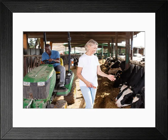 Framed Print : Woman farmer standing near cow and man sitting at car at the cowhouse Framed Print : Woman farmer standing near cow and man sitting at car at the cowhouse