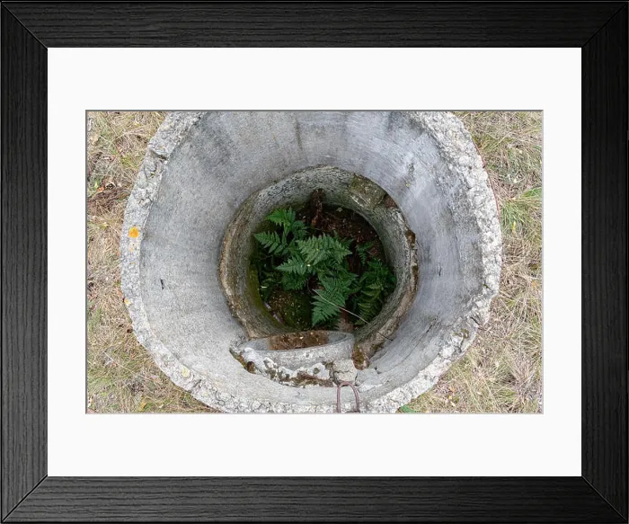 Framed Print : Old sewer. Fern growing in the sewers. Industrial sewage system Framed Print : Old sewer. Fern growing in the sewers. Industrial sewage system