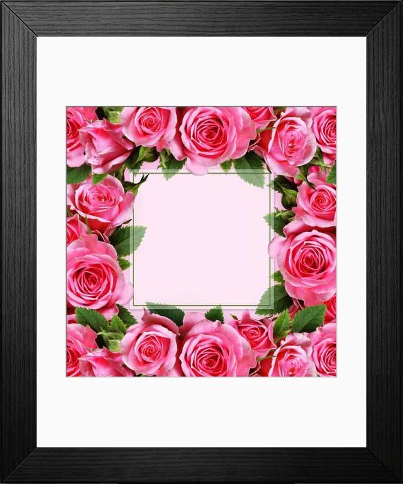 Framed Print : Rose flowers frame on pink background Framed Print : Rose flowers frame on pink background