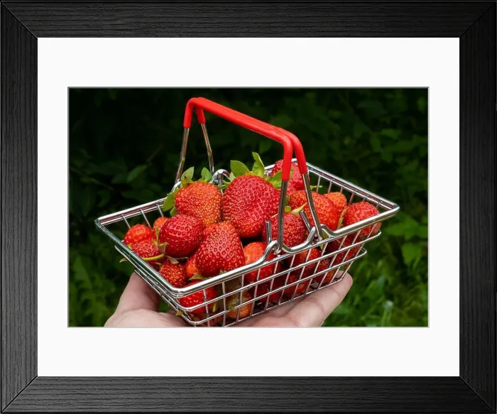 Framed Print : Ripe, fresh strawberries in a small shopping basket on a man's arm Framed Print : Ripe, fresh strawberries in a small shopping basket on a man's arm