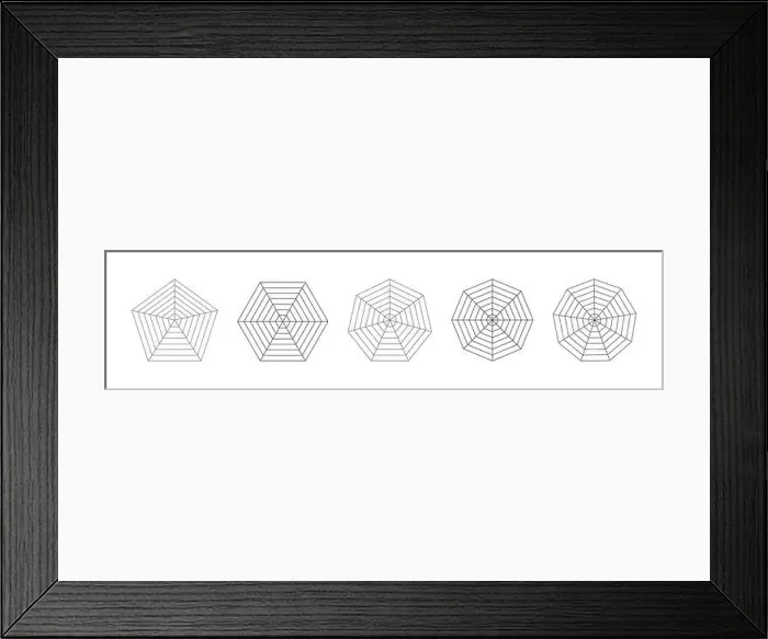 Framed Print : Radar, spider diagram templates Framed Print : Radar, spider diagram templates