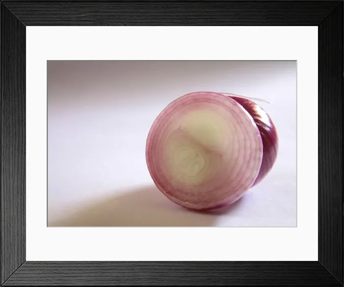 Framed Print : Spices ; kanda piyaz slice of onion allium cepa on white background Framed Print : Spices ; kanda piyaz slice of onion allium cepa on white background