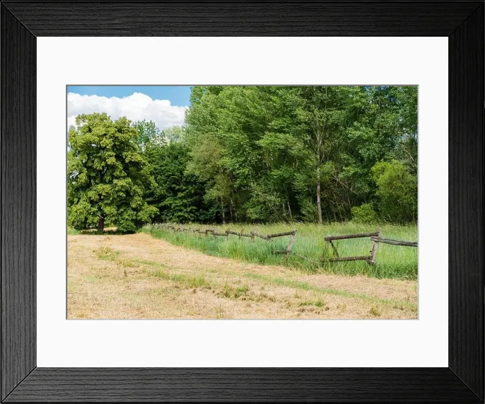 Framed Print : A wooden fence between a mown meadow and a grove on a nice early summer day Framed Print : A wooden fence between a mown meadow and a grove on a nice early summer day