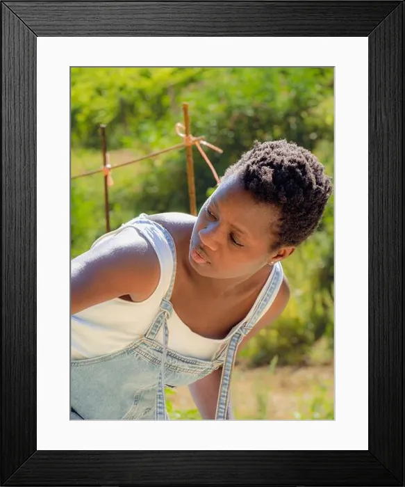 Framed Print : African short haired young black woman working and taking care of vegetables in the farm wearing denim dungarees Framed Print : African short haired young black woman working and taking care of vegetables in the farm wearing denim dungarees