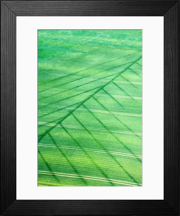 Framed Print : Aerial view of drainage marks in a field during a drought, with moisture remaining only on the drainages, France Framed Print : Aerial view of drainage marks in a field during a drought, with moisture remaining only on the drainages, France
