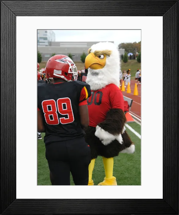 Framed Print : football player and school mascot talking at a high school football game in Huntington, Maryland Framed Print : football player and school mascot talking at a high school football game in Huntington, Maryland