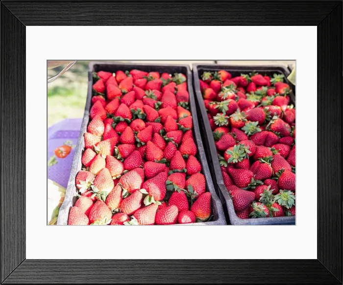Framed Print : Close-up of ripe red organic strawberries ready to sell at the market. Selective focus Framed Print : Close-up of ripe red organic strawberries ready to sell at the market. Selective focus