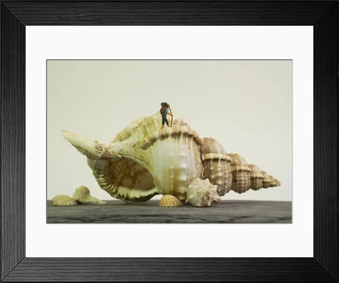 Framed Print : a hiker with a stick and backpack on a huge shell of a sea snail, white background Framed Print : a hiker with a stick and backpack on a huge shell of a sea snail, white background