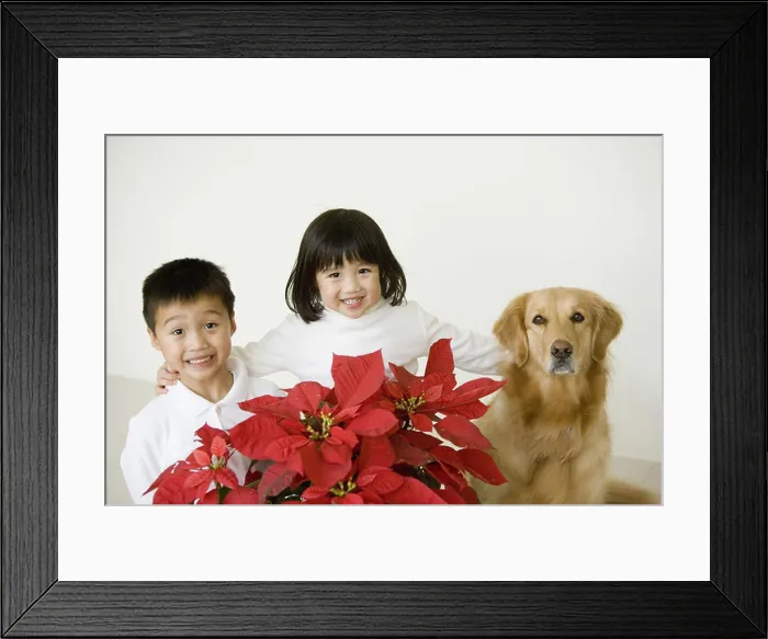 Framed Print : Portrait of a girl with her brother and her dog Framed Print : Portrait of a girl with her brother and her dog