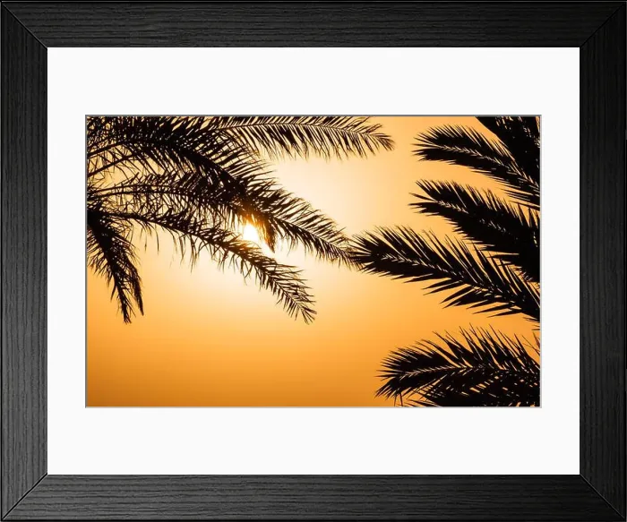Framed Print : Silhouettes of palm leaves against tropical sunset sky Framed Print : Silhouettes of palm leaves against tropical sunset sky
