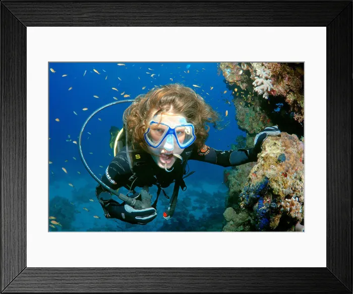 Framed Print : Female scuba diver and Cleanerfish (Labroides dimidiatus) Red sea, Egypt, Africa Framed Print : Female scuba diver and Cleanerfish (Labroides dimidiatus) Red sea, Egypt, Africa