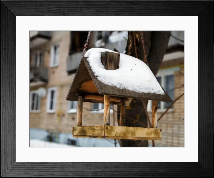 Framed Print : Wooden bird feeder in form of house with pipe on winter day. Selective focus Framed Print : Wooden bird feeder in form of house with pipe on winter day. Selective focus