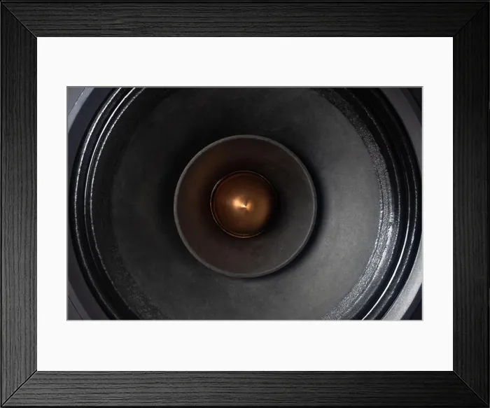 Framed Print : close-up view of high-end full range loudspeaker Framed Print : close-up view of high-end full range loudspeaker