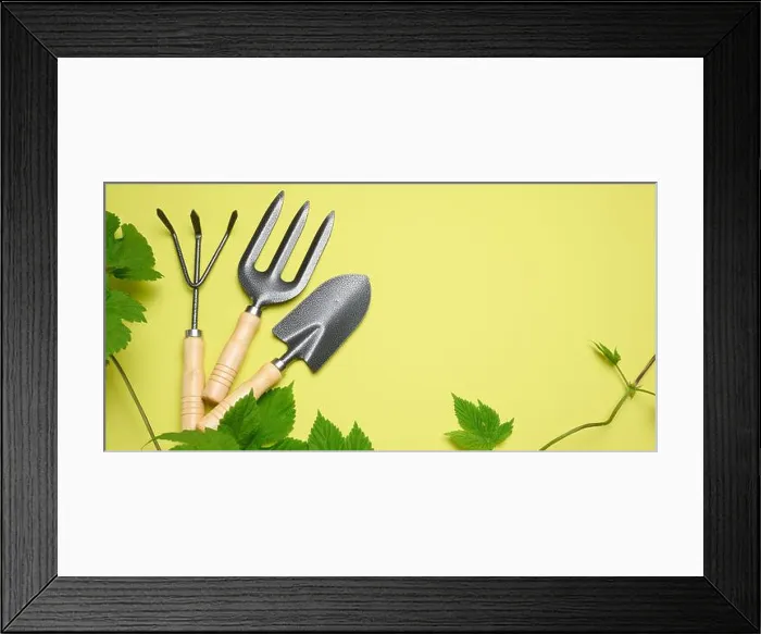 Framed Print : Garden tools for processing beds in the garden on a green background Framed Print : Garden tools for processing beds in the garden on a green background