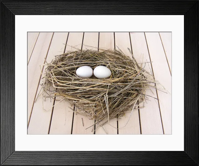 Framed Print : pictures of the chicken eggs in the most beautiful white ground Framed Print : pictures of the chicken eggs in the most beautiful white ground
