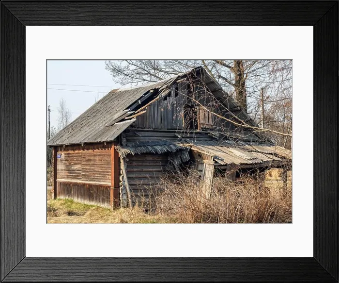 Framed Print : Old wooden ruined house among the bushes and grass, close up Framed Print : Old wooden ruined house among the bushes and grass, close up
