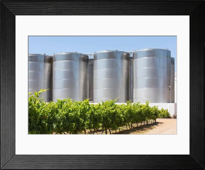 Framed Print : Vineyards with Stainless Steel fermentation and storage tanks on Van Loveren Wine Estate Framed Print : Vineyards with Stainless Steel fermentation and storage tanks on Van Loveren Wine Estate