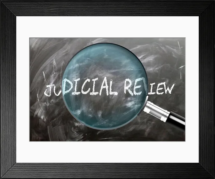 Framed Print : Judicial Review - learn, study and inspect it