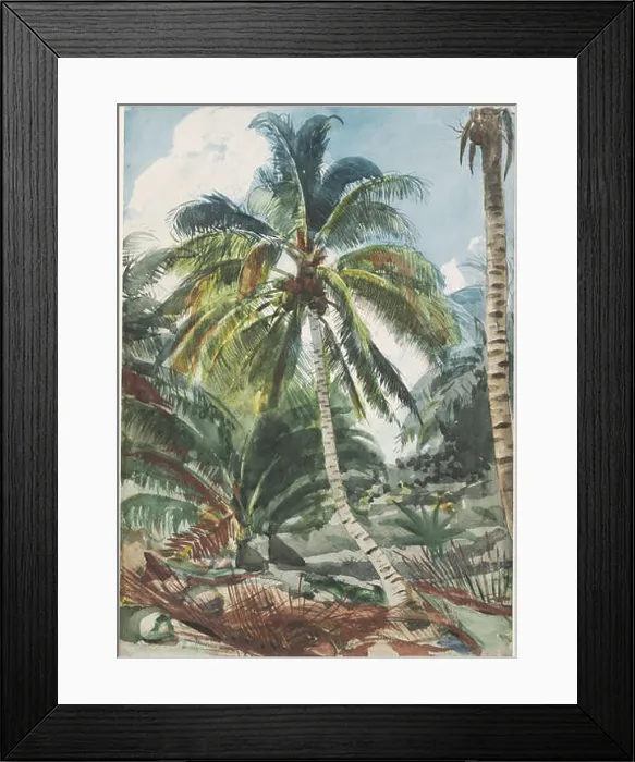 Framed Print : Winslow Homer - Palm Trees, Bahamas (1890s) Framed Print : Winslow Homer - Palm Trees, Bahamas (1890s)