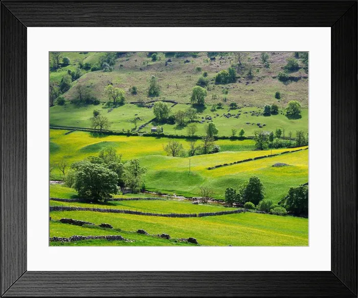 Framed Print : Buttercup meadows in Langstrothdale Upper Wharfedale Yorkshire Dales National Park North Yorkshire England Framed Print : Buttercup meadows in Langstrothdale Upper Wharfedale Yorkshire Dales National Park North Yorkshire England