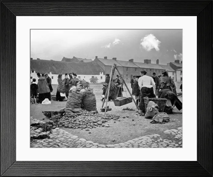 Framed Print : A late 19th century view of the Potato Market Framed Print : A late 19th century view of the Potato Market