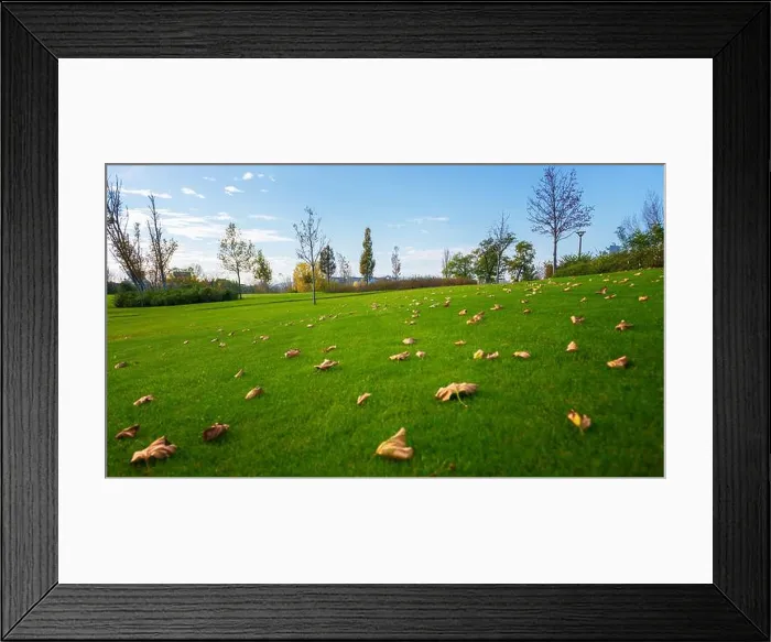 Framed Print : Outdoor photo grass and trees in the park with good lights Framed Print : Outdoor photo grass and trees in the park with good lights