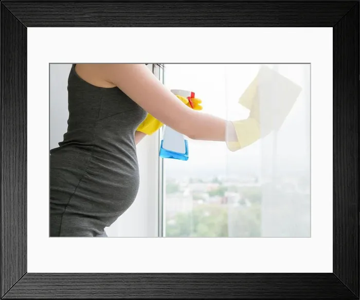 Framed Print : Young pregnant woman is cleaning window Framed Print : Young pregnant woman is cleaning window