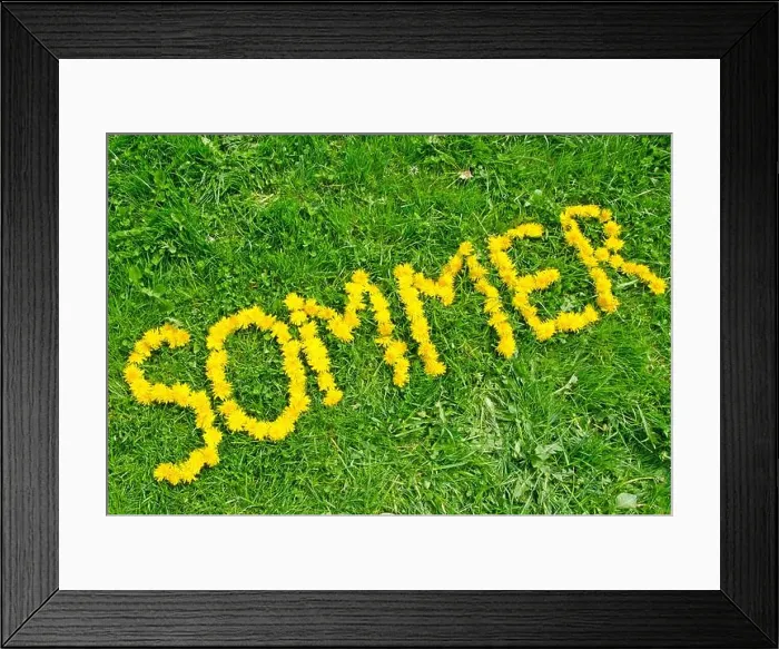 Framed Print : The word summer (in German caption ‘Sommer') written with yellow dandelion flowers on green meadow Framed Print : The word summer (in German caption ‘Sommer') written with yellow dandelion flowers on green meadow