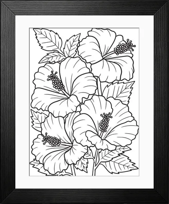 Framed Print : Hibiscus Flower Coloring Page for Adults Framed Print : Hibiscus Flower Coloring Page for Adults