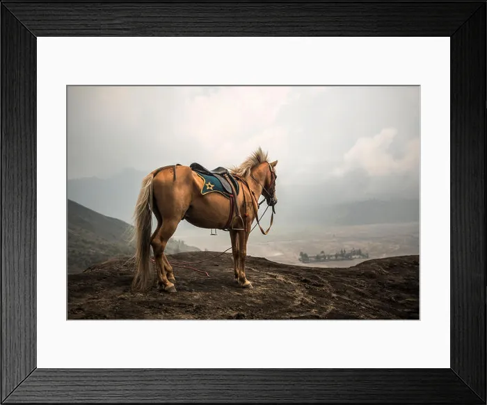 Framed Print : Grey Horse in front of mountains near Volcano Bromo, Java, Indonesia Framed Print : Grey Horse in front of mountains near Volcano Bromo, Java, Indonesia