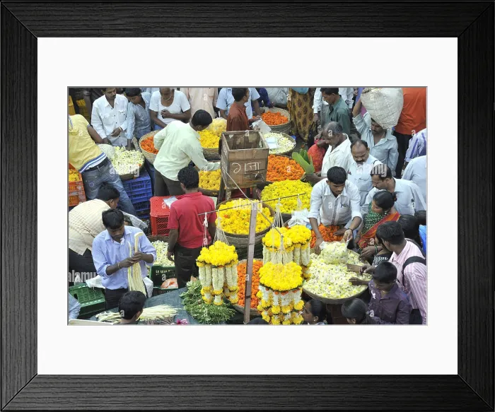 Framed Print : people buying flowers for diwali festival in dadar flower market at mumbai maharashtra India Framed Print : people buying flowers for diwali festival in dadar flower market at mumbai maharashtra India