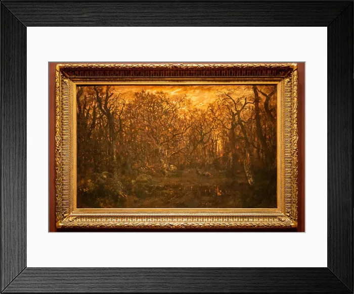 Framed Print : The Forest in Winter at Sunset Framed Print : The Forest in Winter at Sunset