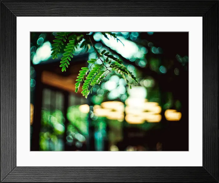 Framed Print : little leaf with blury background Framed Print : little leaf with blury background