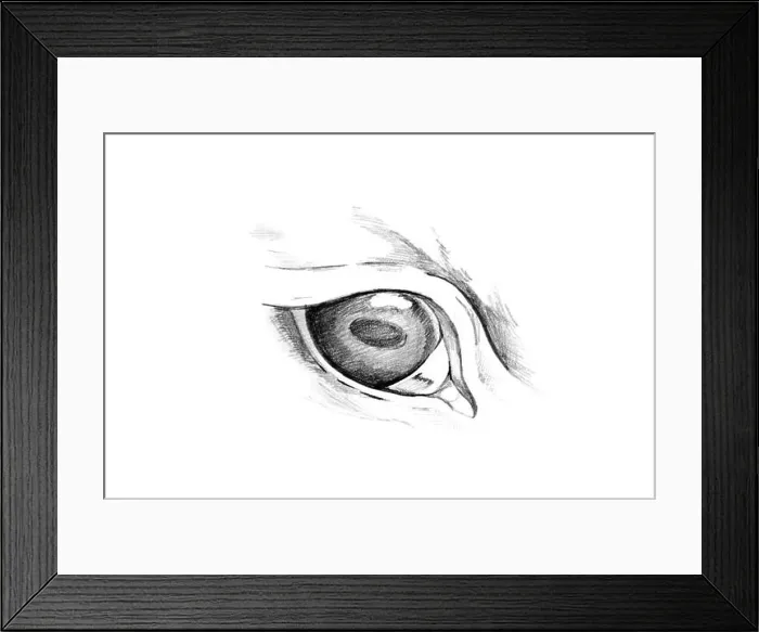 Framed Print : Sketch of tattoo art, animal eyes Framed Print : Sketch of tattoo art, animal eyes