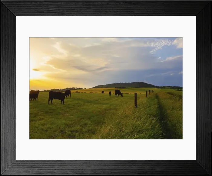 Framed Print : On the pasture in Central Bohemian Highlands