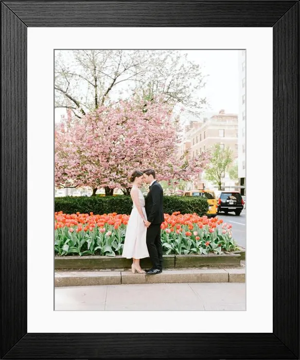 Framed Print : A couple enjoys a tender moment together amidst colorful tulips and blooming cherry trees in a lively spring park Framed Print : A couple enjoys a tender moment together amidst colorful tulips and blooming cherry trees in a lively spring park