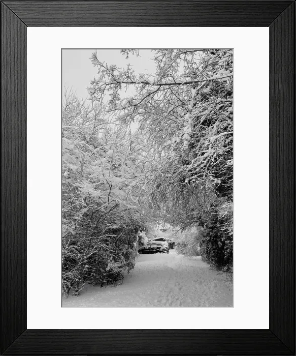 Framed Print : Photograph of car parked on the other side of the tress, near Farrindon way, Tadley, England, UK, United Kingdom Framed Print : Photograph of car parked on the other side of the tress, near Farrindon way, Tadley, England, UK, United Kingdom
