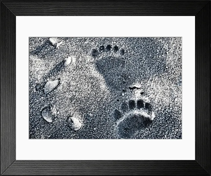 Framed Print : Alaskan brown bear tracks on a frost covered beach, close up Framed Print : Alaskan brown bear tracks on a frost covered beach, close up