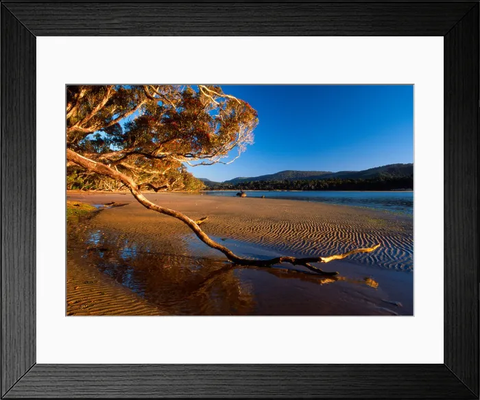 Framed Print : Beach near Papatowai, South Island, New Zealand
