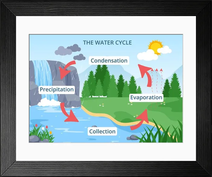 Framed Print : Water Cycle of Evaporation, Condensation Framed Print : Water Cycle of Evaporation, Condensation